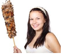 Edison Home Cleaning