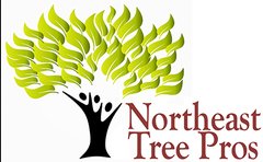 Northeast Tree Pros