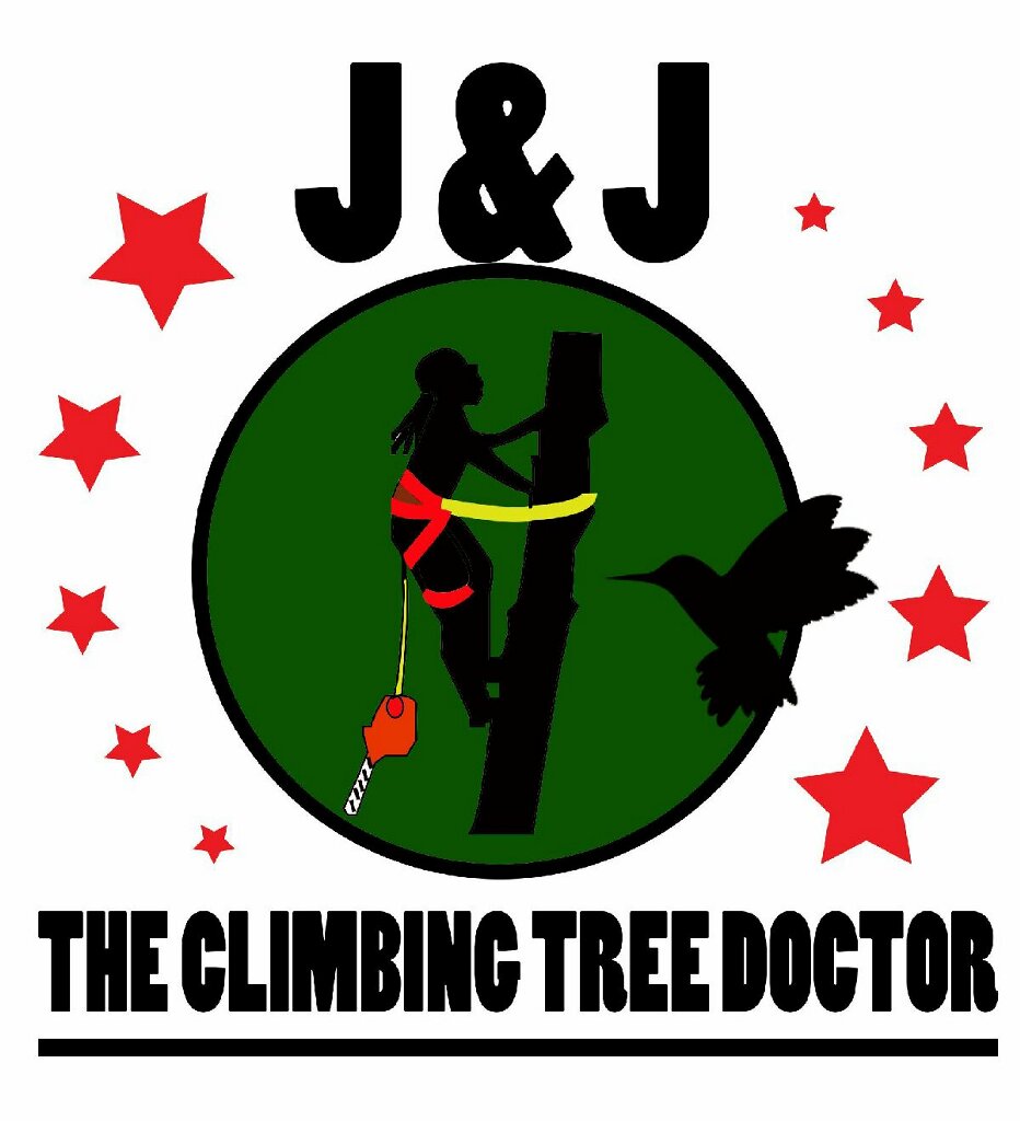 J & J The Tree Doctor
