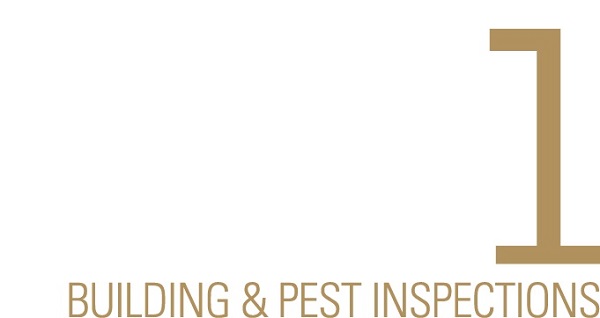 Tier 1 Building And Pest Inspections