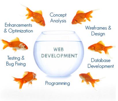 Web Development Outsourcing Companies in Australia