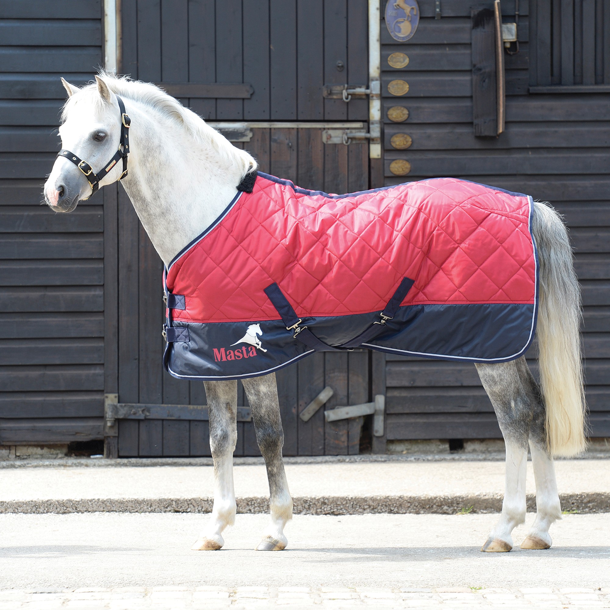 Robinsons Equestrian 