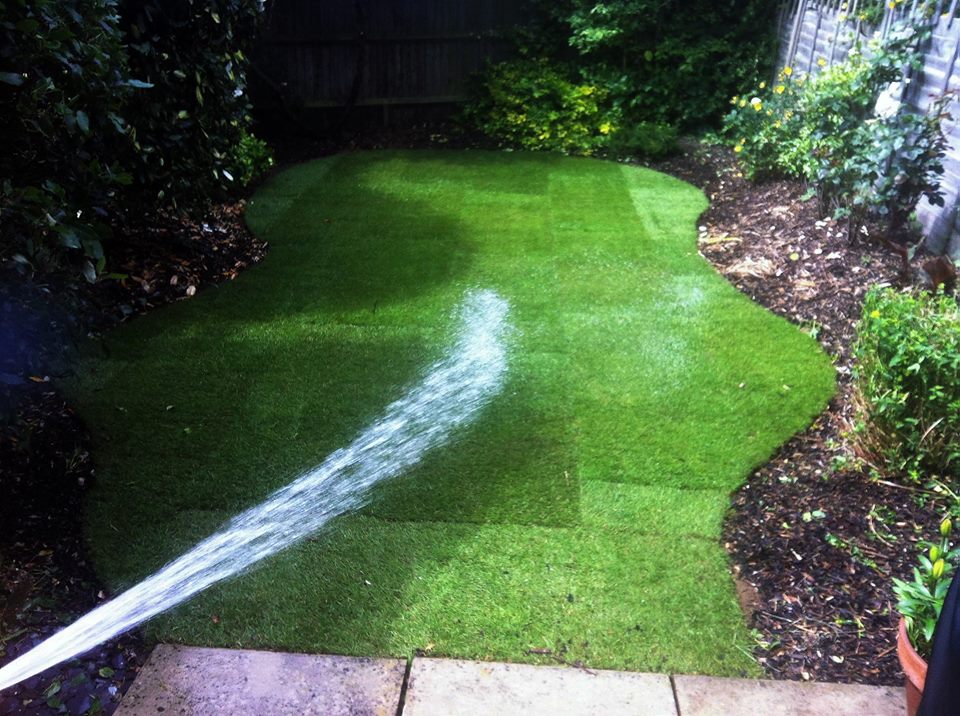 Green Lawn Turf