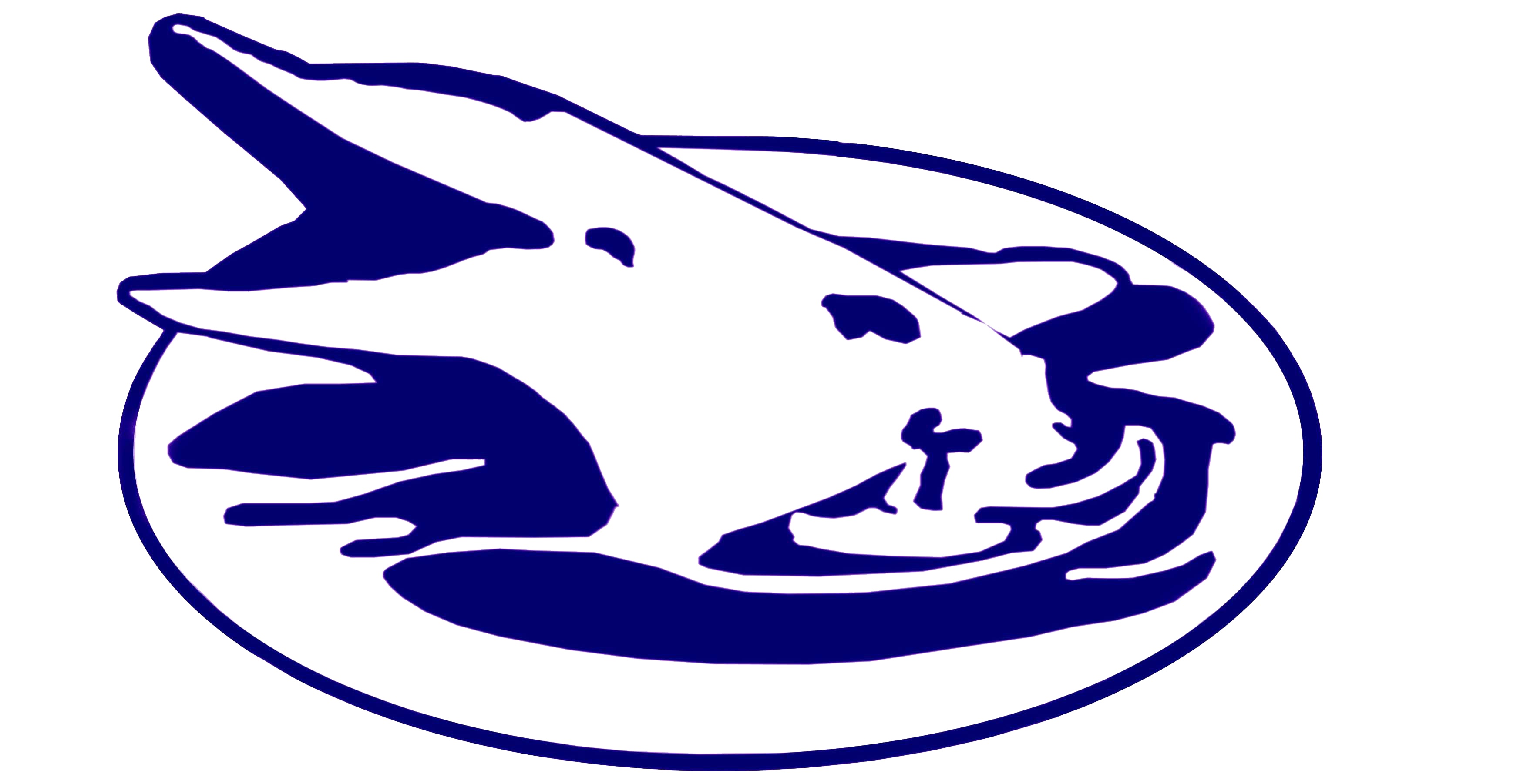 Musandam Sea Adventure Travel & Tourism