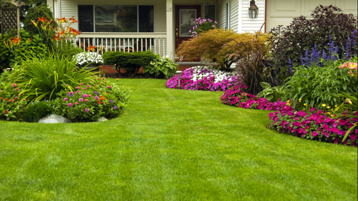 Markham Landscaping Services