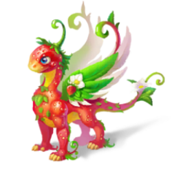 Strawberry Dragon