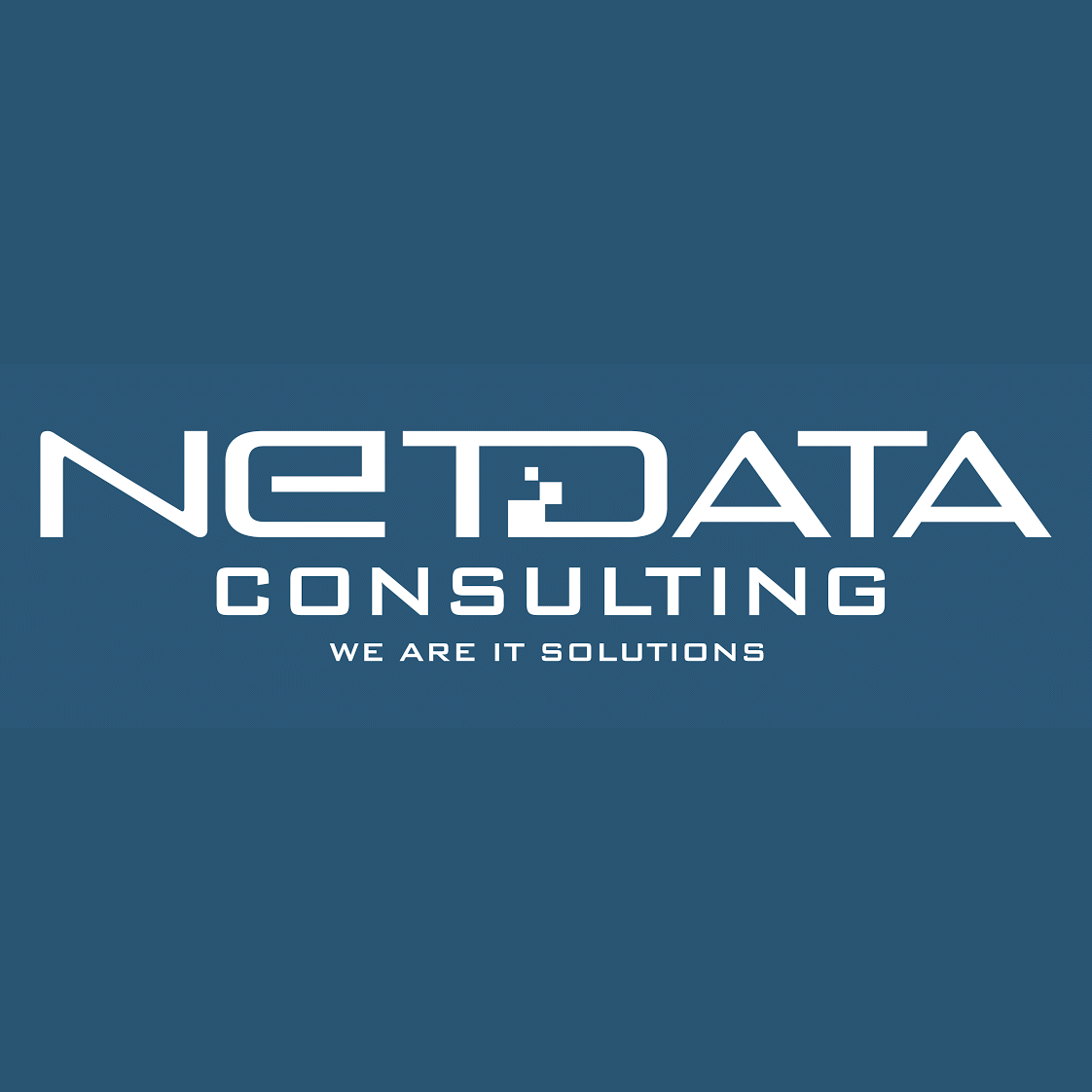 NetData Consulting