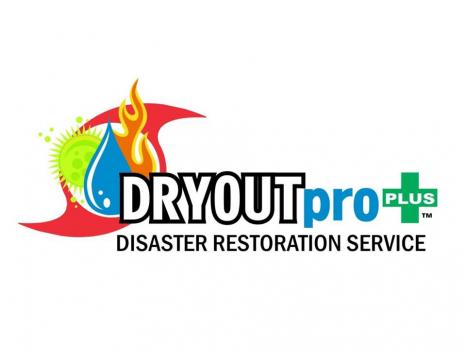 DRYOUTpro PLUS, Inc.