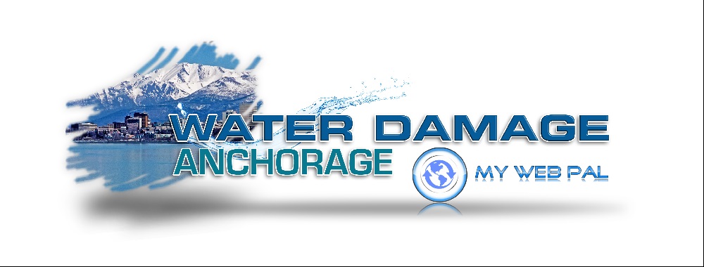 MyWebPal - Water Damage San Antonio