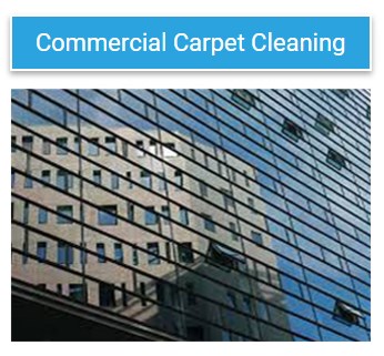 Carpet Cleaning Brisbane Northside