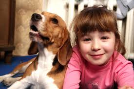 Glen Iris - Preventative Care, Surgeons, Veterinary Clinic