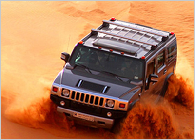 Dream Night Tours LLC