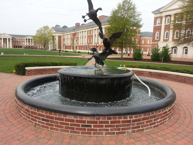 Colden's Concepts LLc