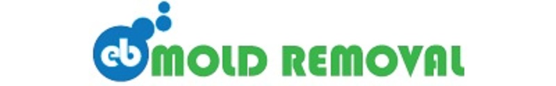 EB Mold Removal