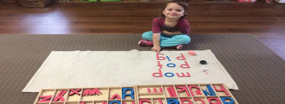 Royal Pine Montessori Academy