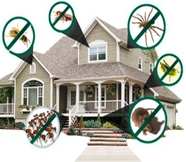 A to Z Pest Solutions