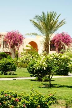 Interior Greenscapes, Inc.