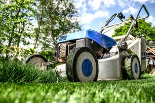 Arvada Lawn care Services