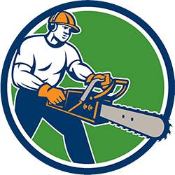 Birmingham Tree Surgeons