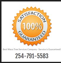 Best Waco Tree Service