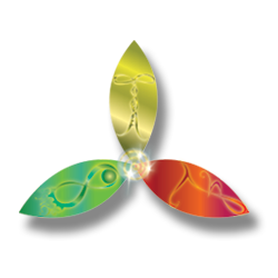 Vancouver Mobile Websites