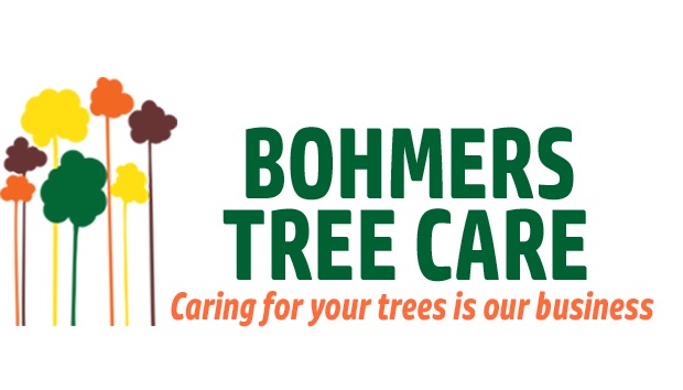 Bohmers Tree Care