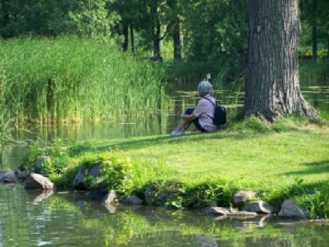 Les Serres Aquafolia