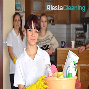 Alesta Cleaning