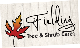 Fielding Tree & Shrub Care