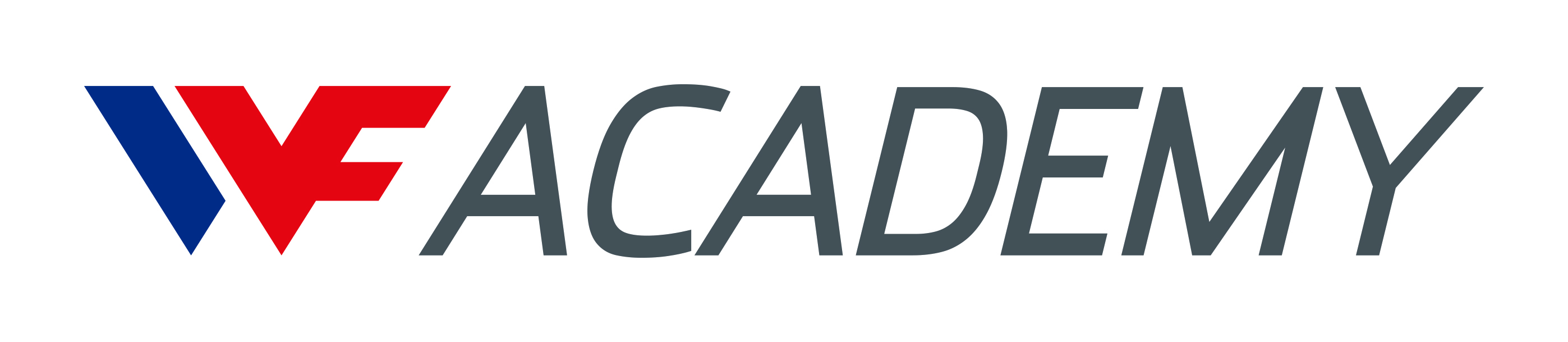 WONG FONG ACADEMY PTE LTD