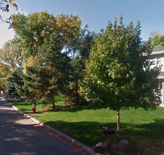 Nature’s Touch Tree Care and Landscaping