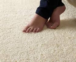 Organic  Carpet Cleaning West Hollywood