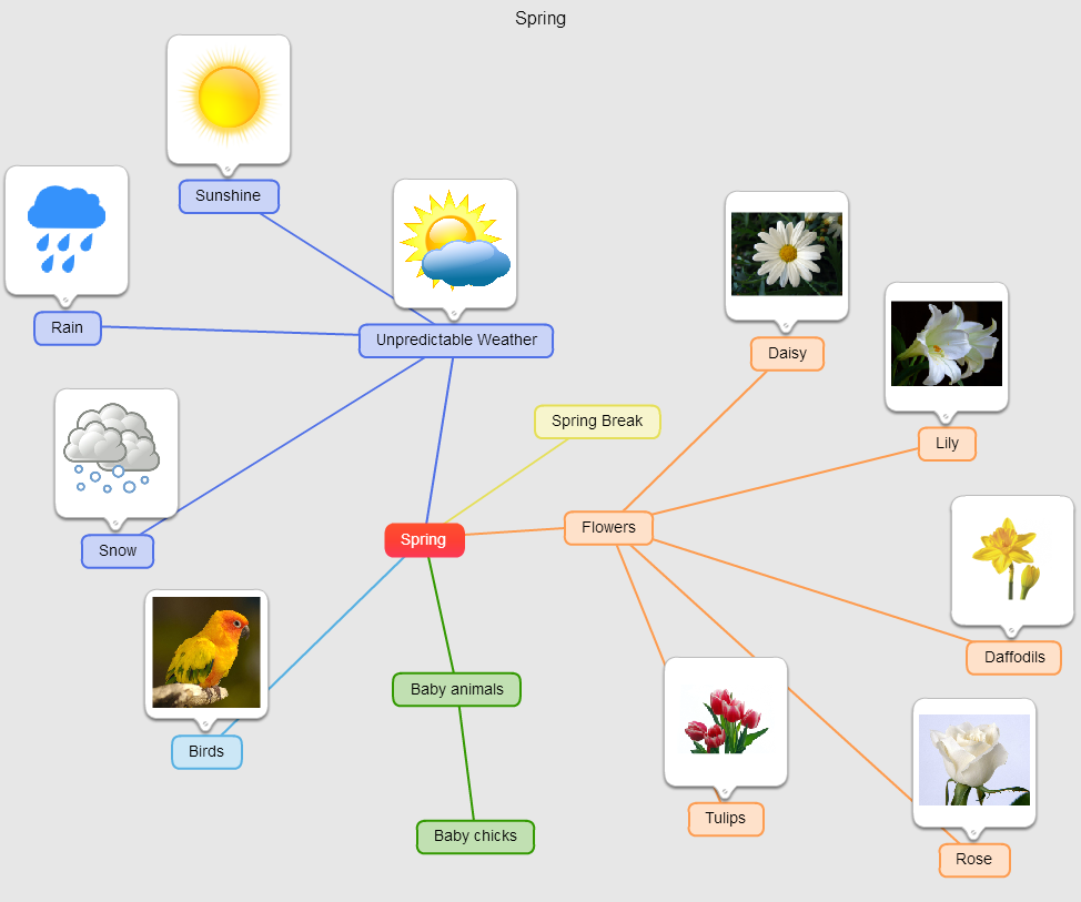 Mind Mapping Software | Mind Vector