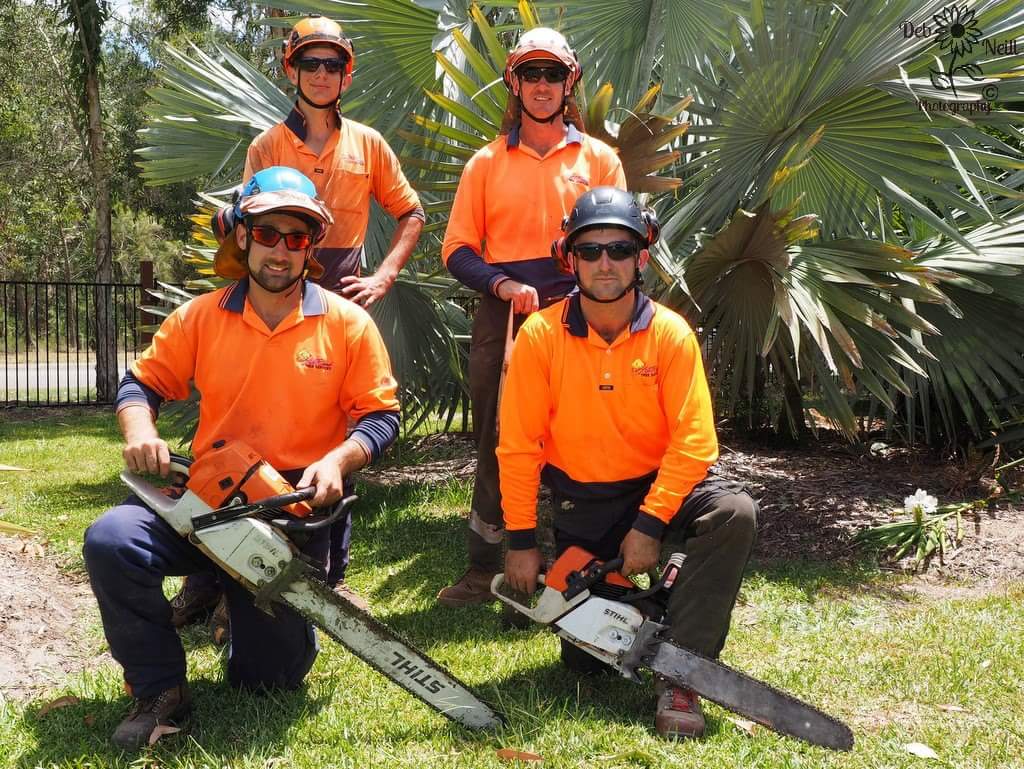 AllRound Tree Services