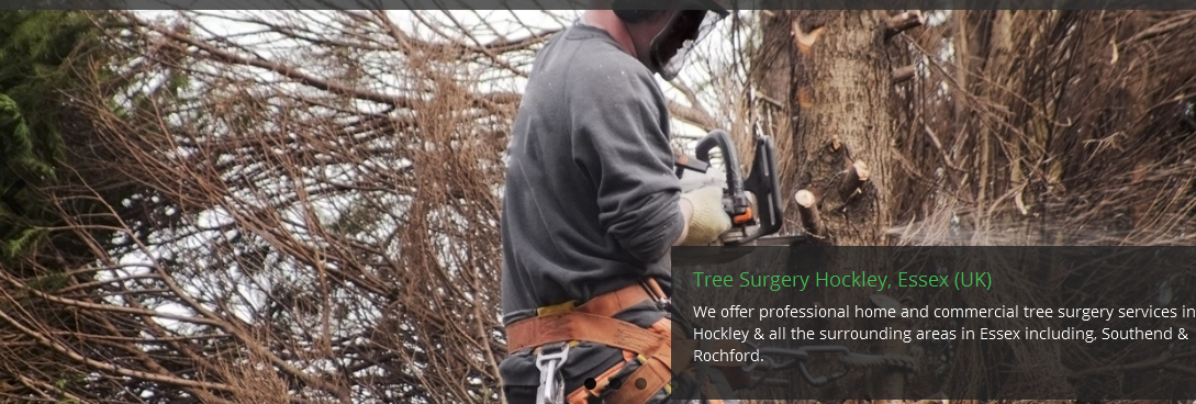 Kings Tree Services