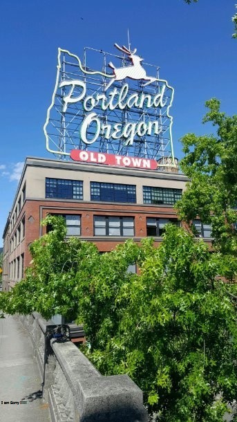 Hillsboro Carpet Cleaning