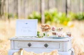 Fleur de Lis Event Consulting