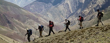 Trekking Pole Reviews
