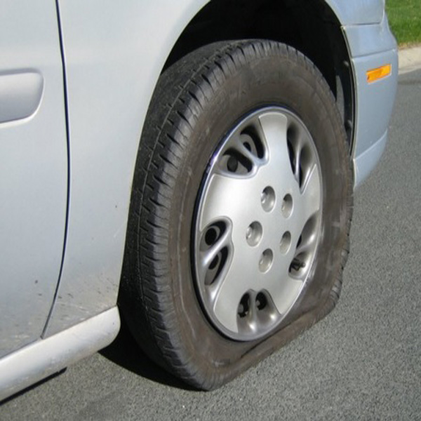 College Station Family Tow