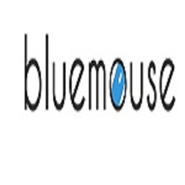 Blue Mouse IT Ltd