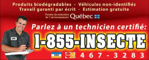 A Bas Prix Extermination : Exterminateur Repentigny
