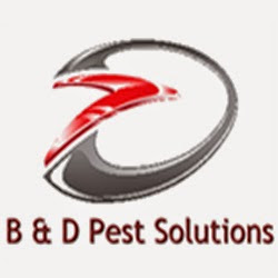 B & D Pest Solutions
