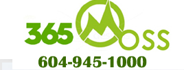 365 Moss