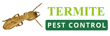Termite Treatment Perth