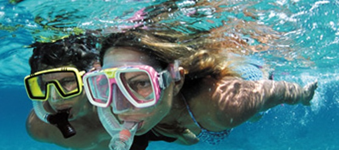 Starfish Marathon Snorkeling