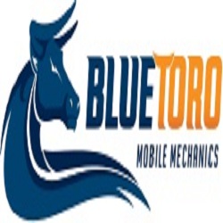 Blue Toro Mobile Mechanics Berwick