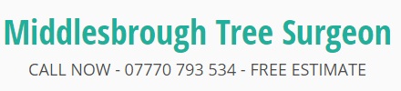 Middlesbrough Tree Surgeon