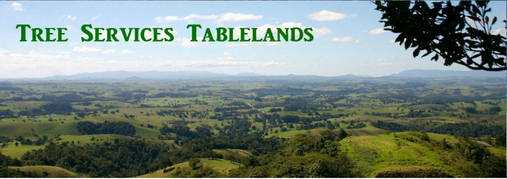 Tree Services Tablelands