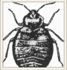 Bond Pest Control, LLC