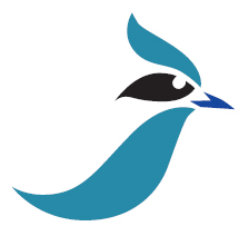 Blue Jay Windows and Doors